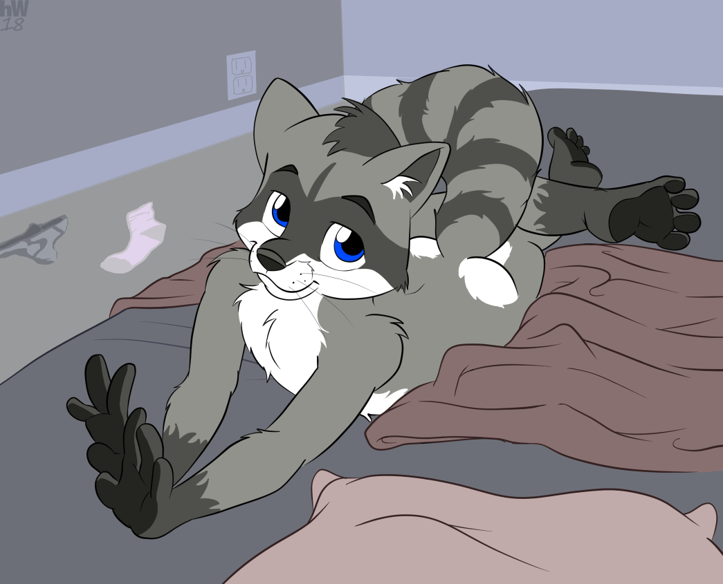 2172531_HalcyonWinter_180126_raccoon_in_my_bed2