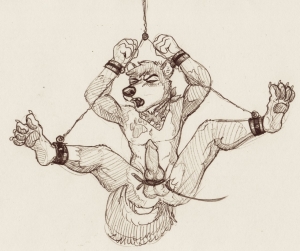 1374583814.fursonperson_bdsm