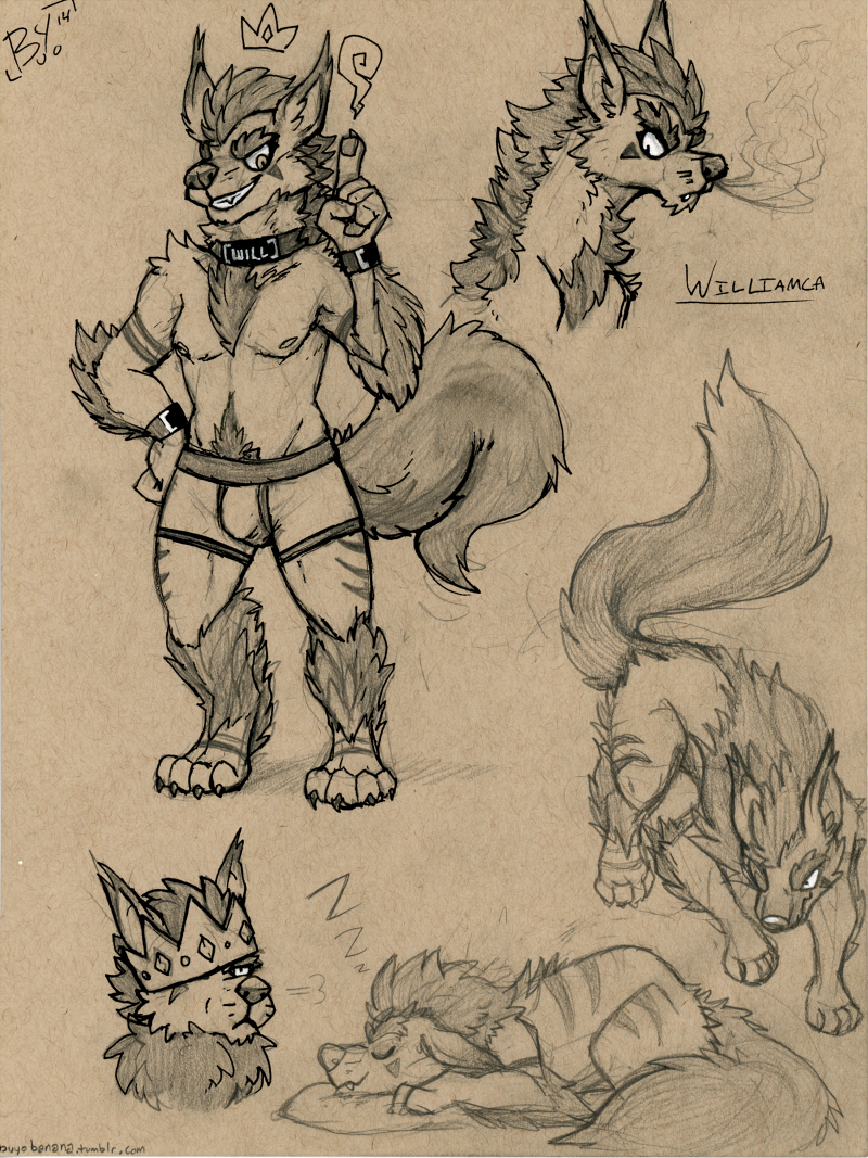 1396222217.buyobutt_will_sketchpage800
