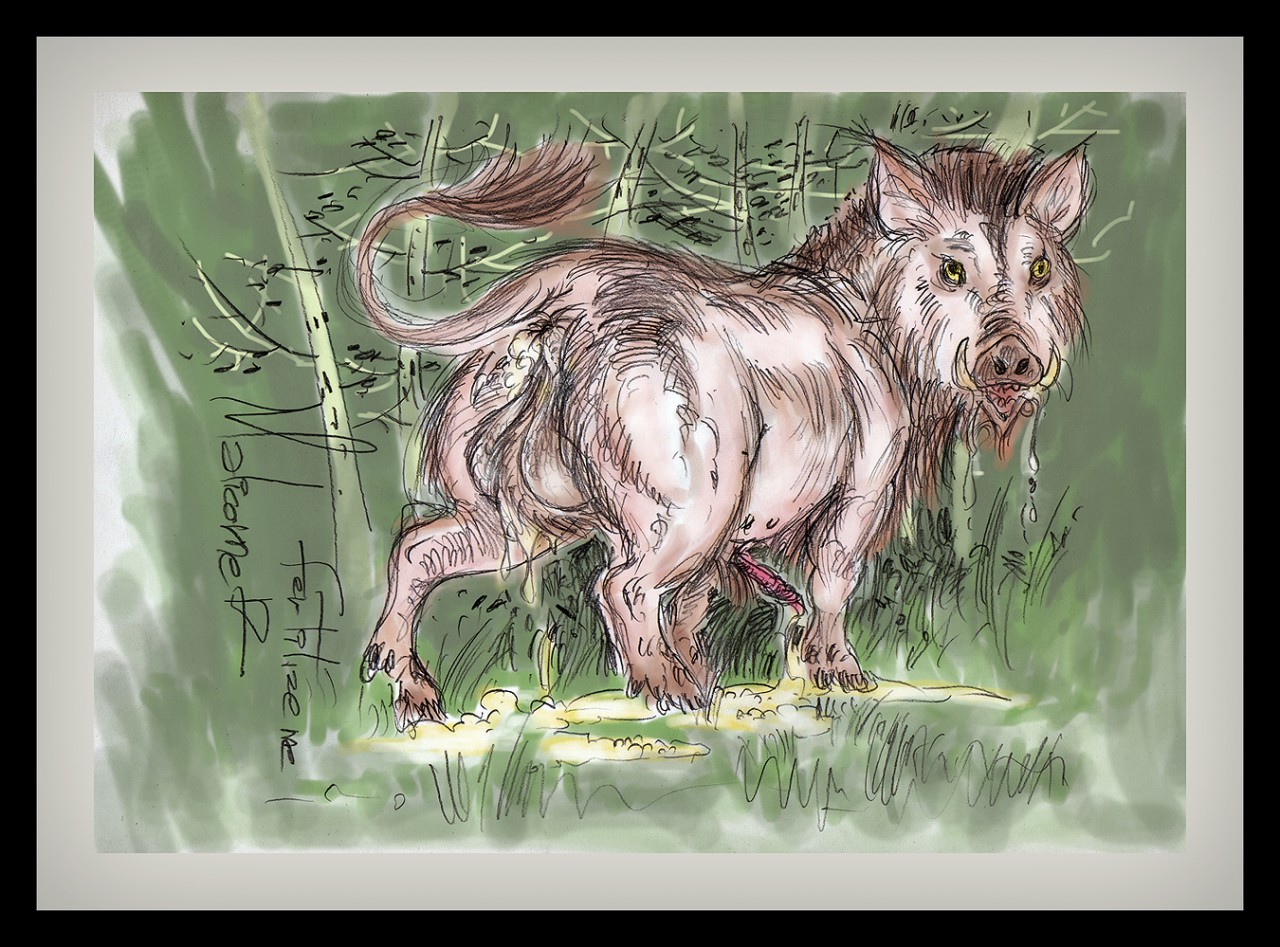 1502965673.malicorne_lady-male-boar