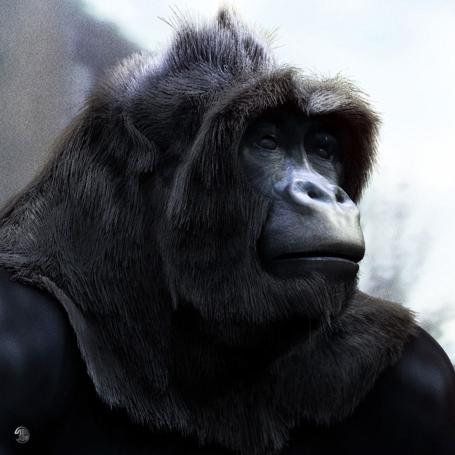 thierry-berengier-gorilla05