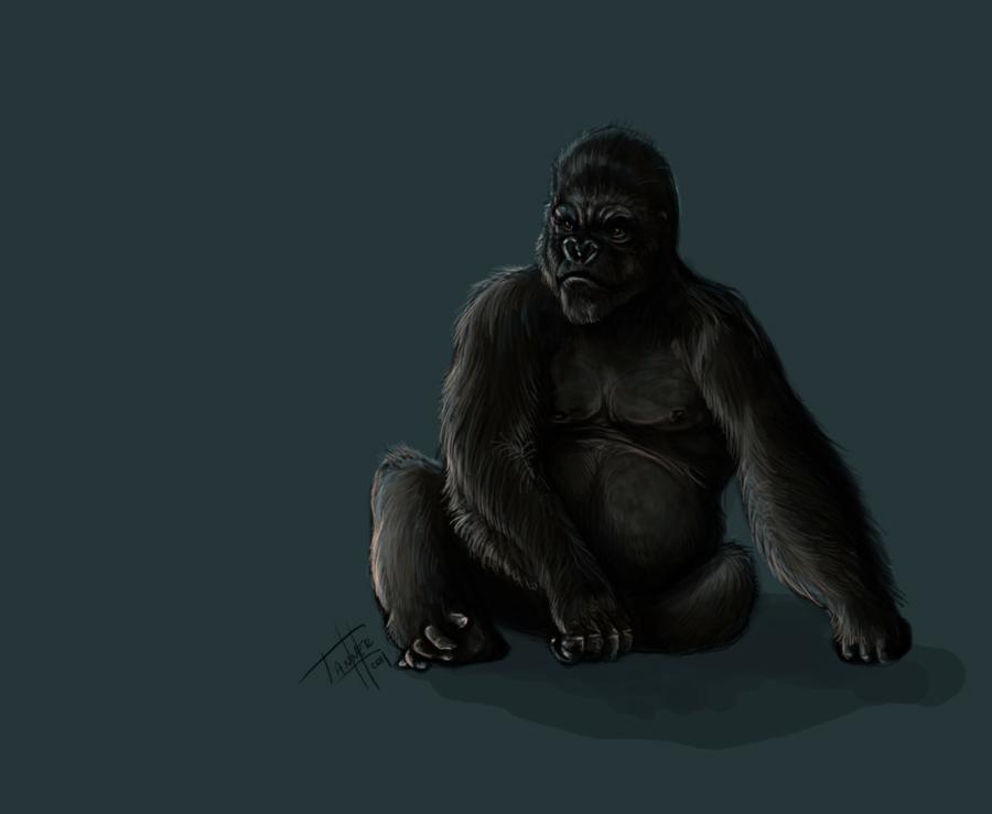 gorilla_by_hiyum_d3crq6x-fullview