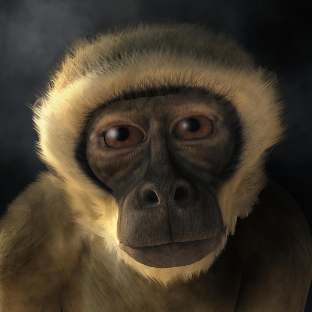 monkey_portrait_by_deskridge_dbulxcw-fullview